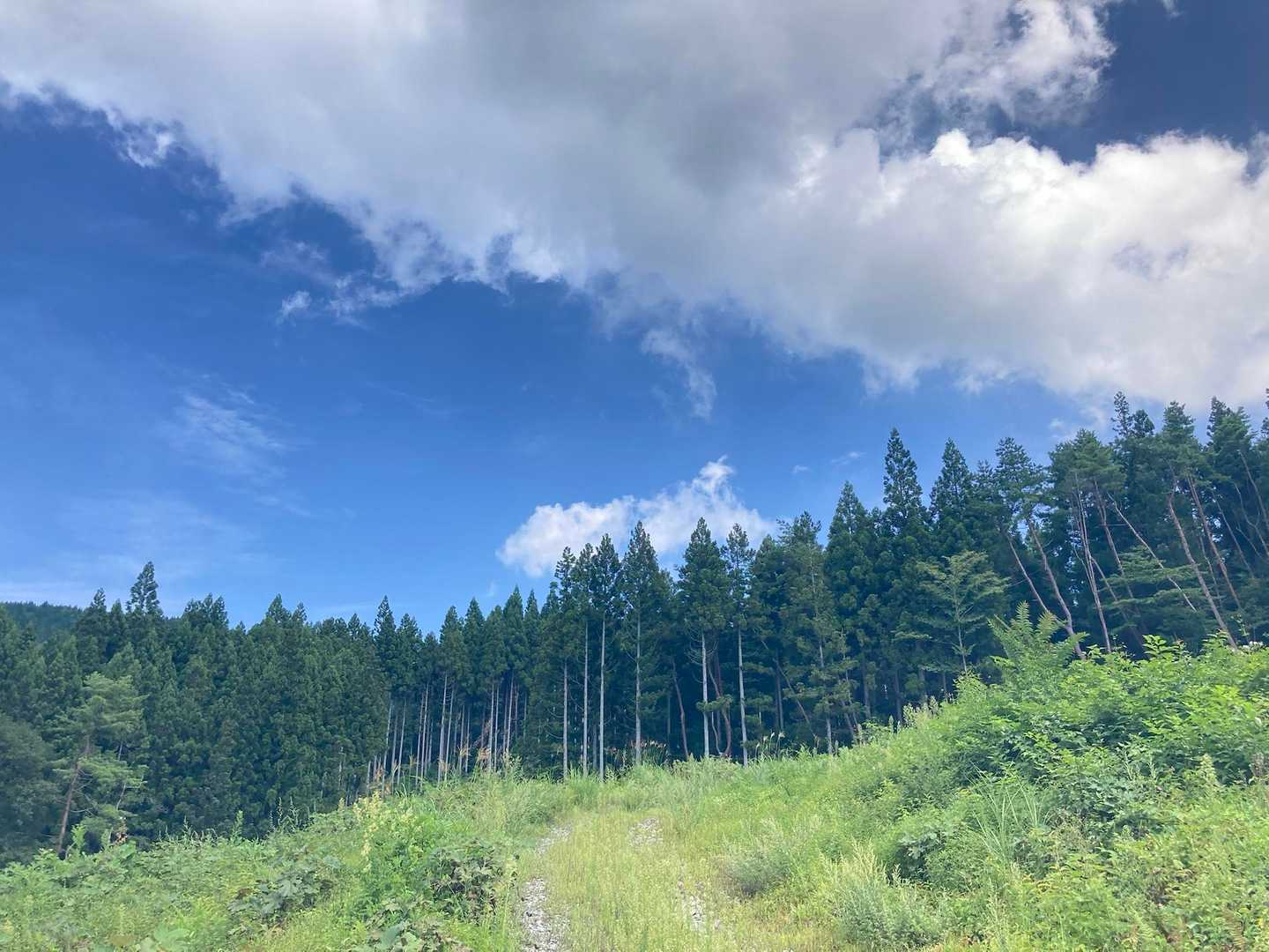 下山すると晴れる…☀️