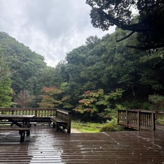 ☔️が…本降り😁