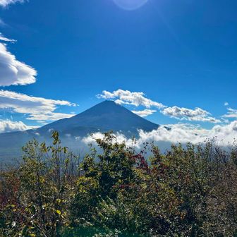 富士山が綺麗に見えました