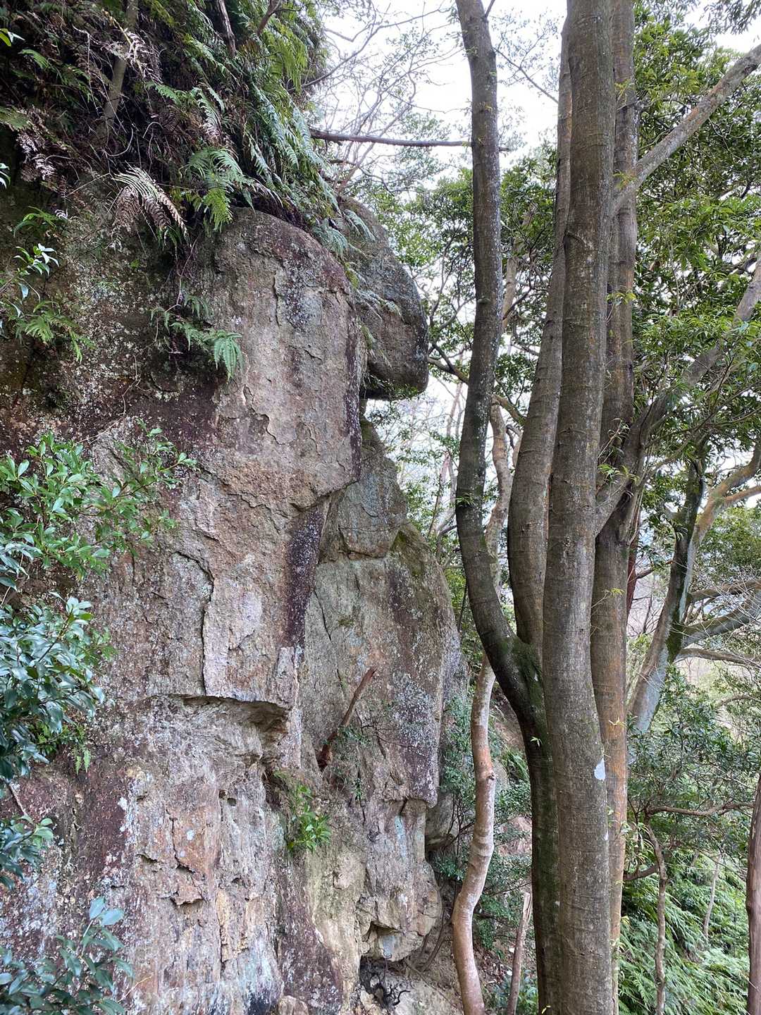 下山時変わった岩が🪨