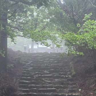 中宮