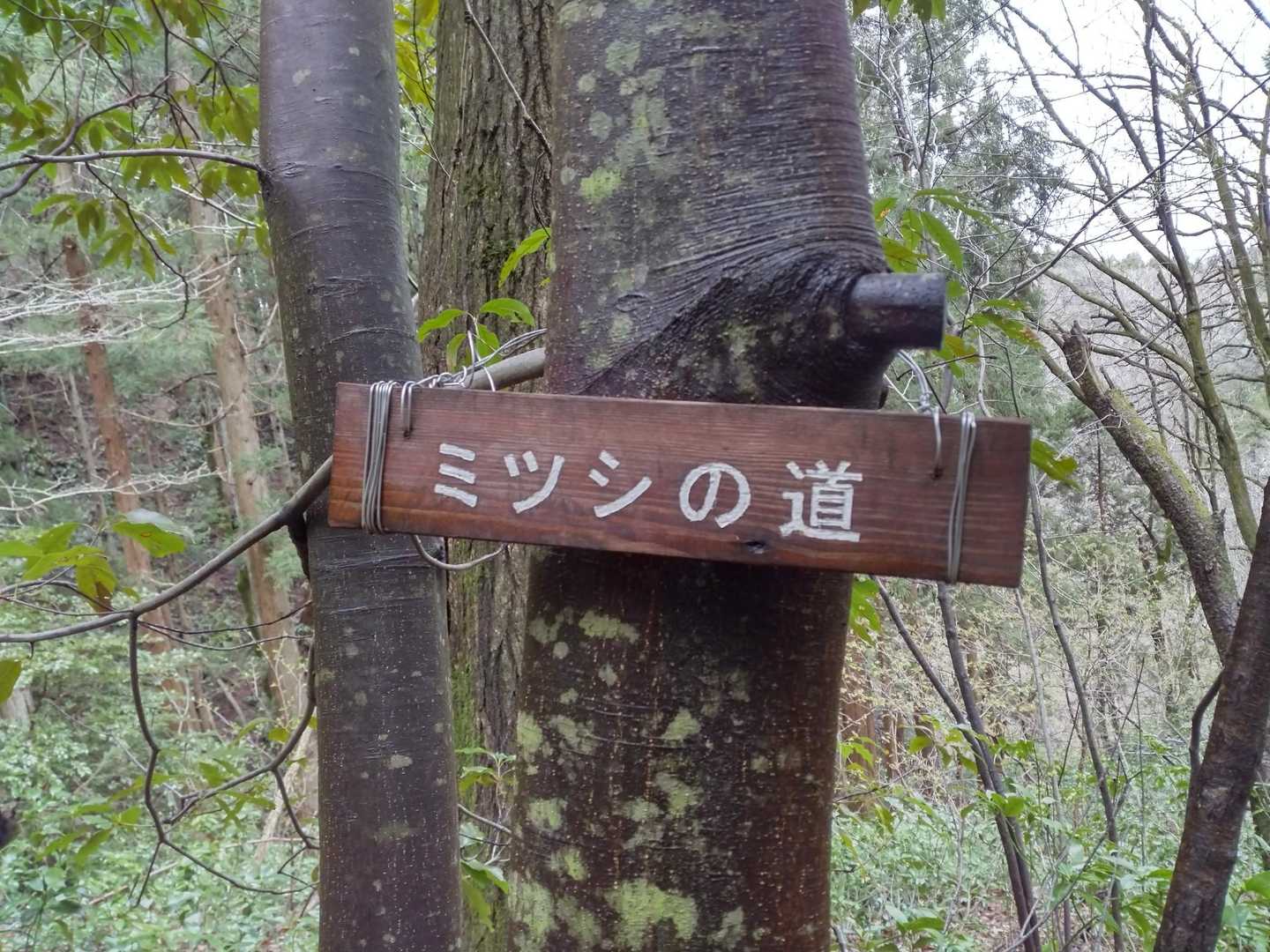 ミツシの道の看板