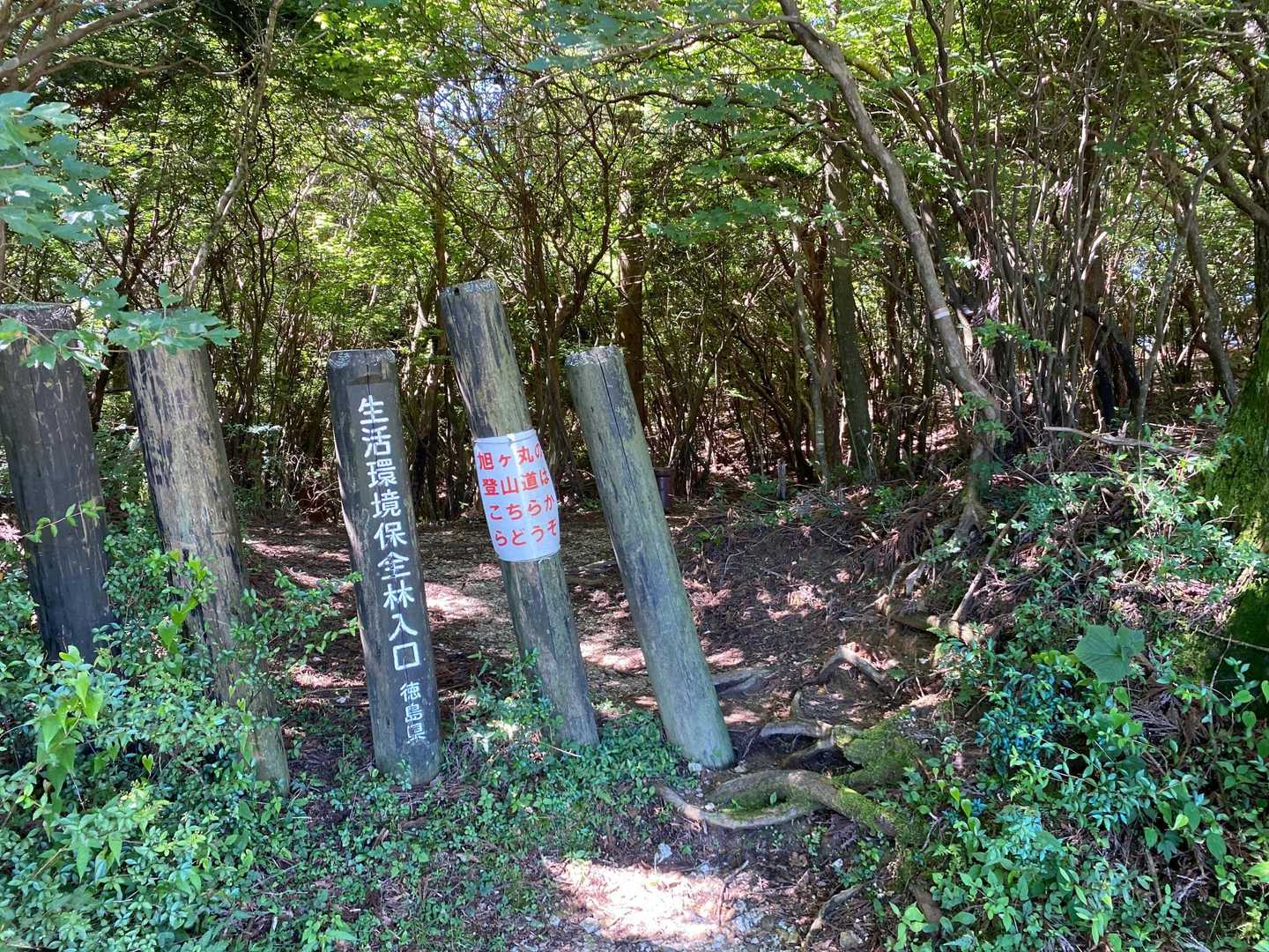 ここから取り付きます。