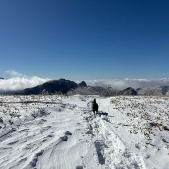寒いけど、陽当たり良好です。
