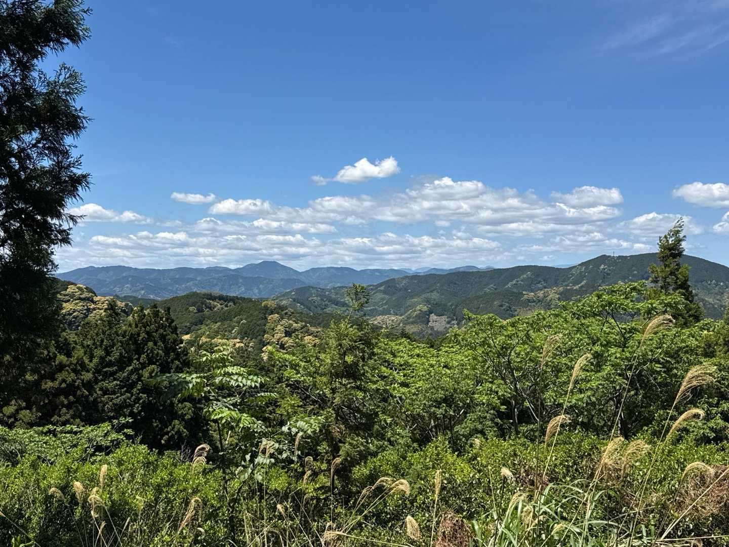 道間違いしたおかげで、
先週登った
高根山、高尾山を眺める事出来ました。