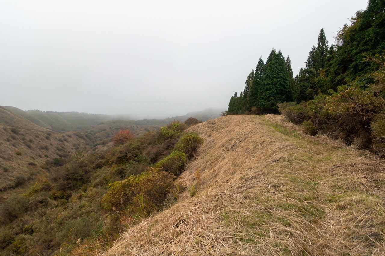 最初はこんな道。しばらく行くと樹林帯に入ります。