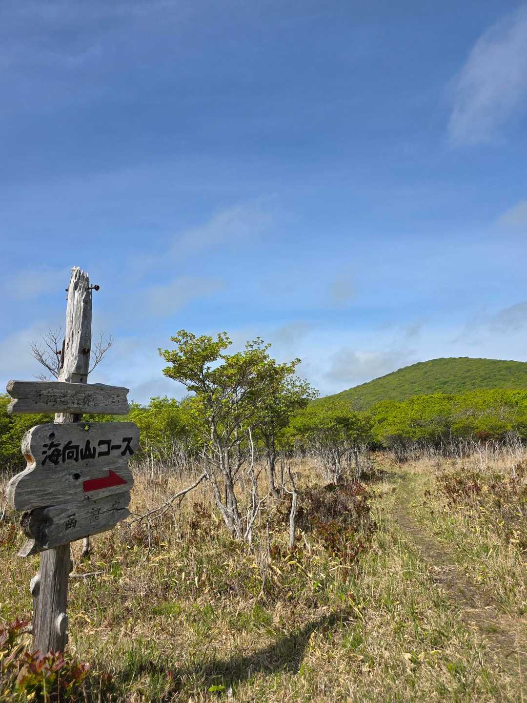 海向山⛰️よろしくお願いします！