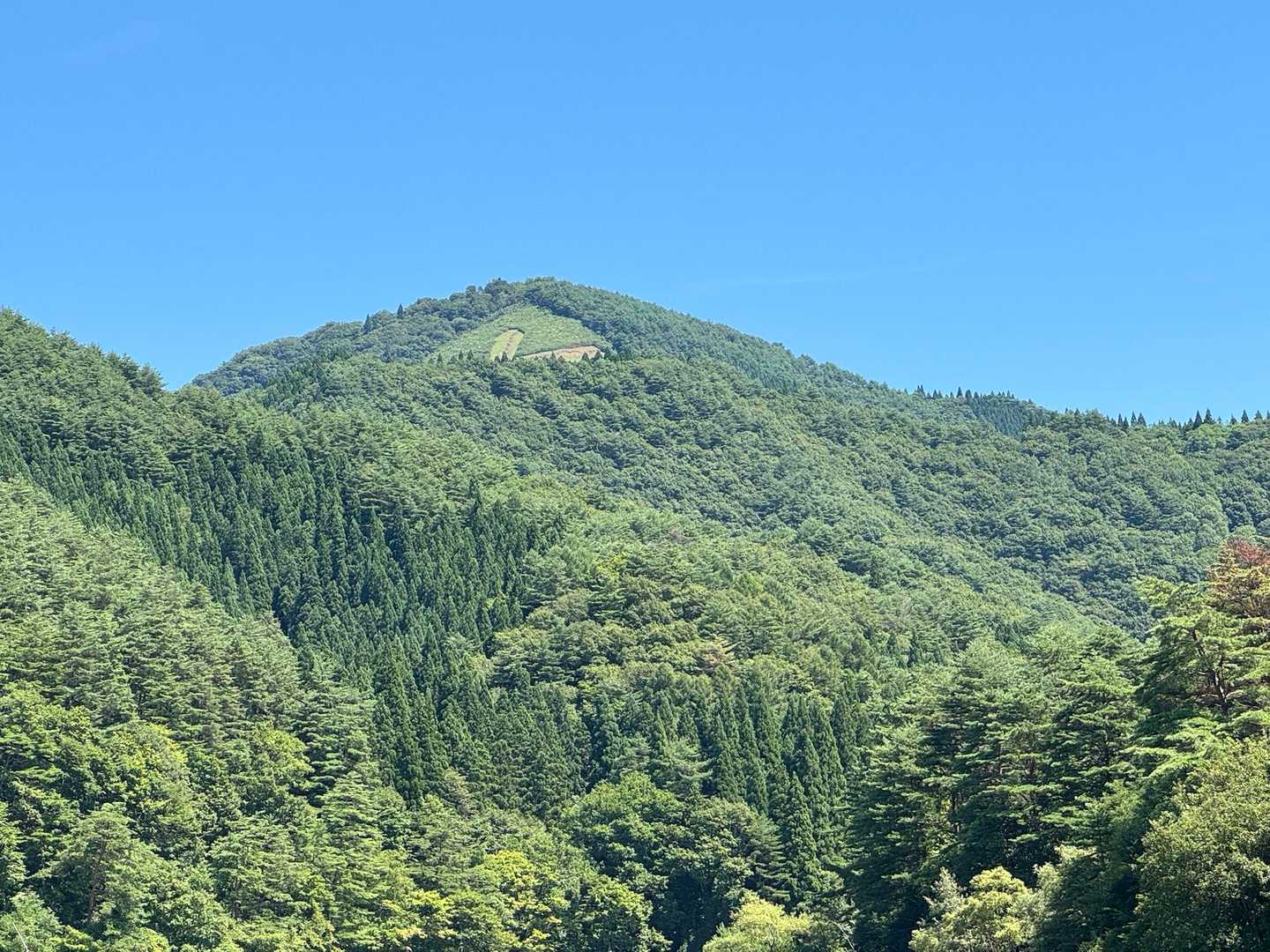 アップで
