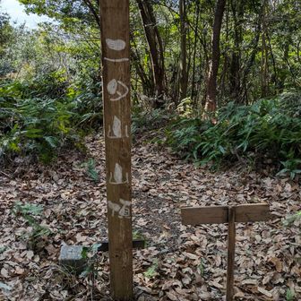 山頂標識は裏側の字のほうが可愛い（笑）