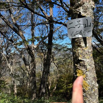 着いたー！山名板ありがとう、無いもんだと思ってた