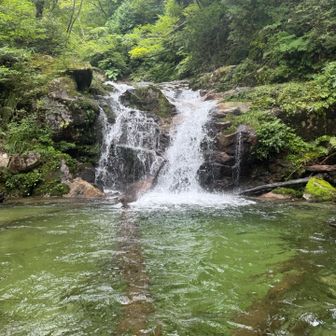 丸太渡り