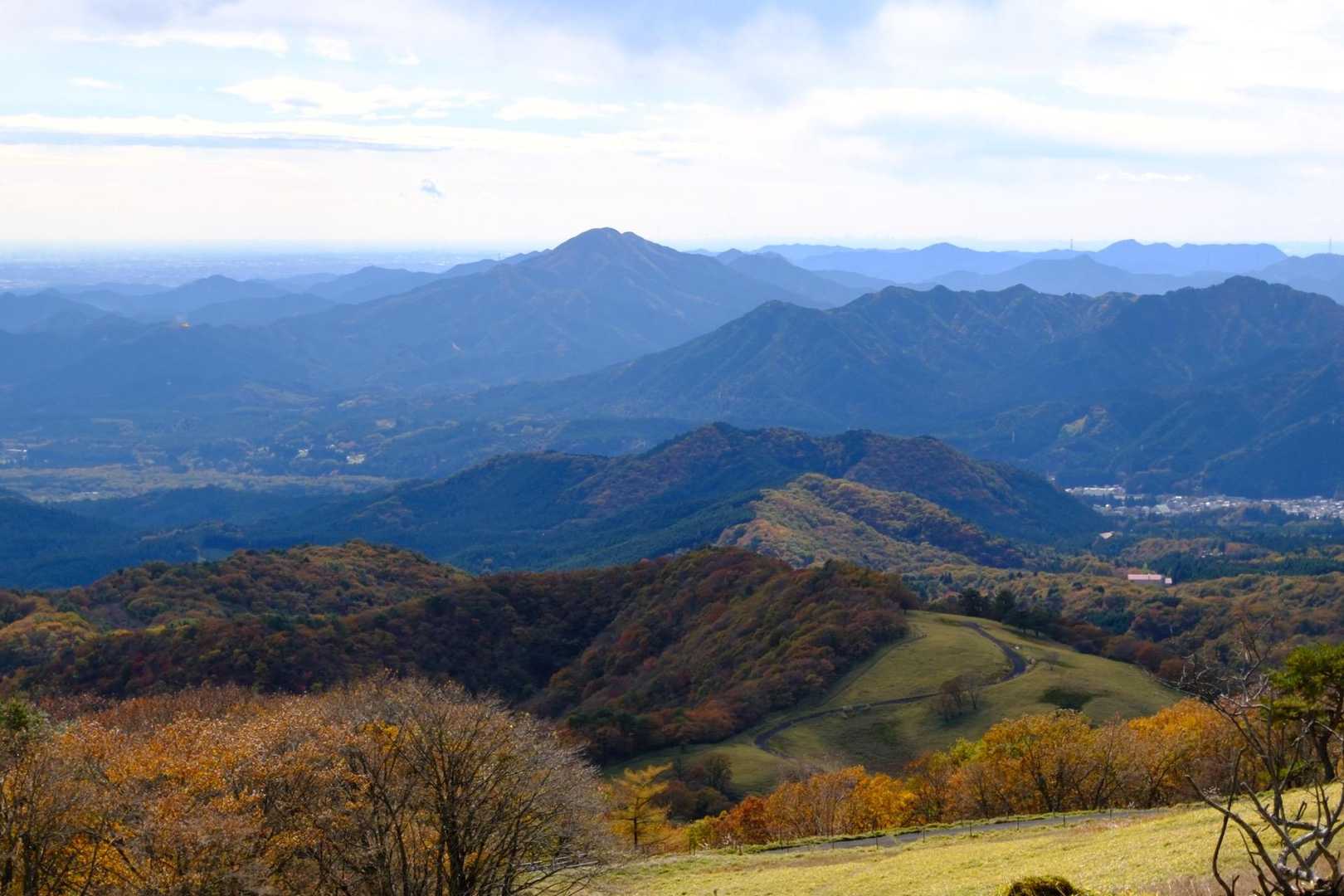よく見るとスカイツリーも見えました
写真ではちょっと難しい😓
