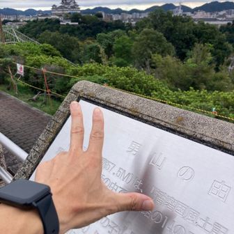 男山のプレート無し