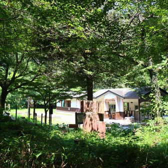 キャンプ場に。
