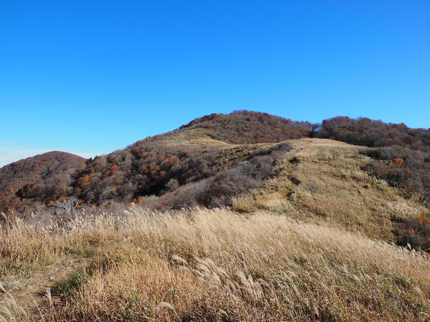 おぉ～目の前に見えるのが三十三間山！
いい感じ🎵