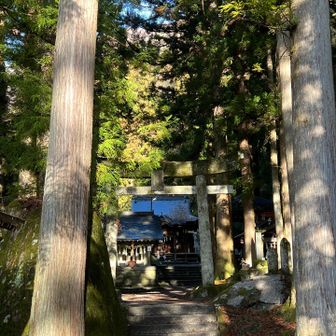 やっと登山の写真になります😆
駒ヶ根神社からスタート
安全を祈念します