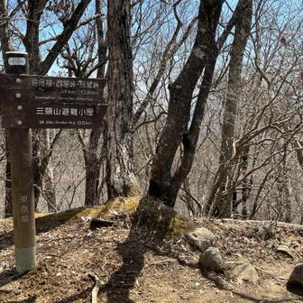 名残惜しいが、避難小屋から笹尾根方面に向かって降り始める。