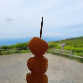 レストハウスでちょい休憩