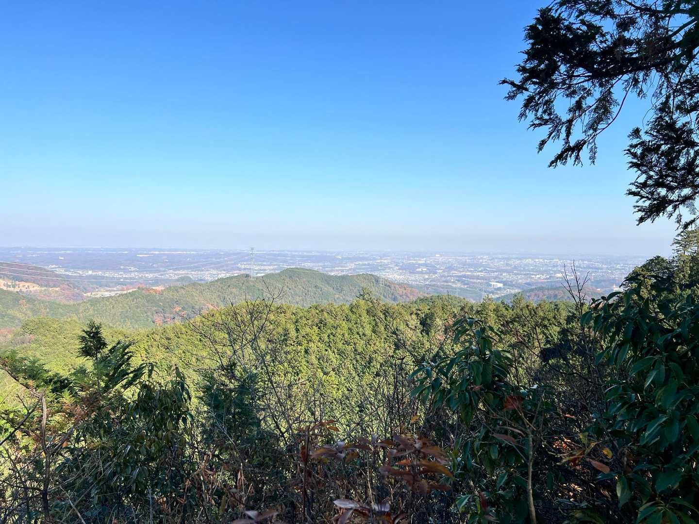 今日は筑波山など遠くの山は霞んで見えず。