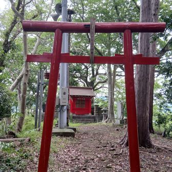 頂上にはお社、放送塔、鳥居が仲良く並んでました。伊豆ゲートウェイの方が眺望は良さそうだ。