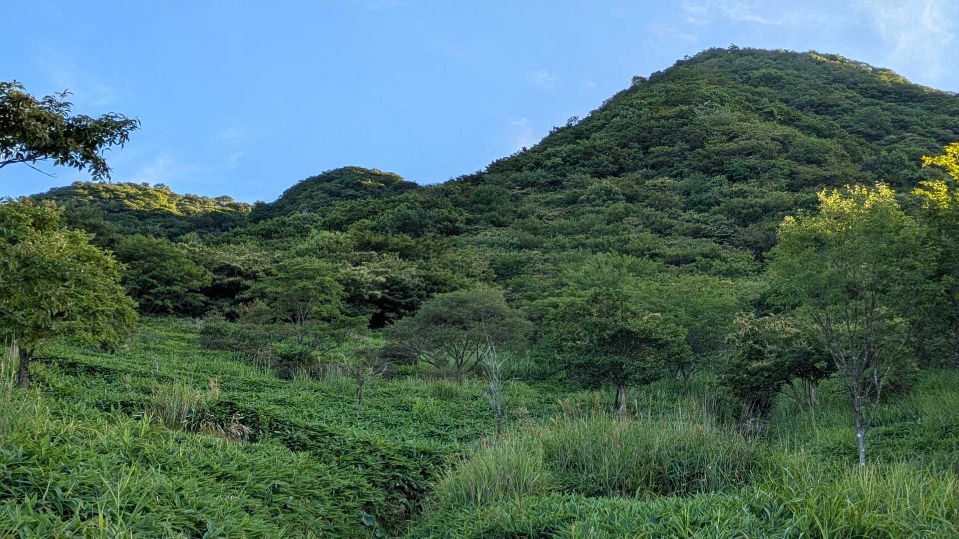 さあここからです