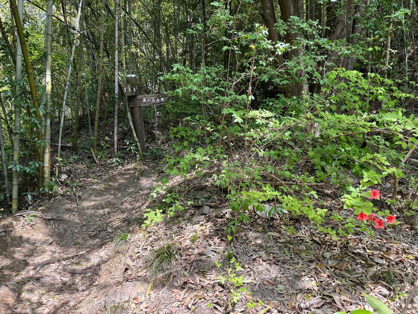 下山してきました😊