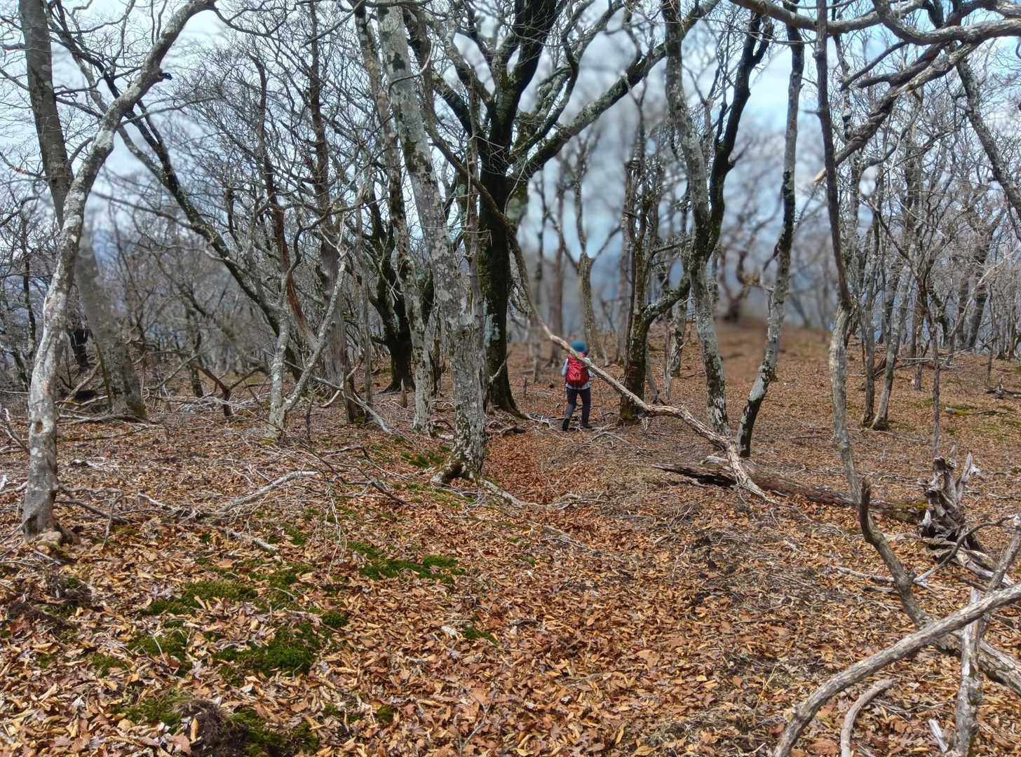 下山