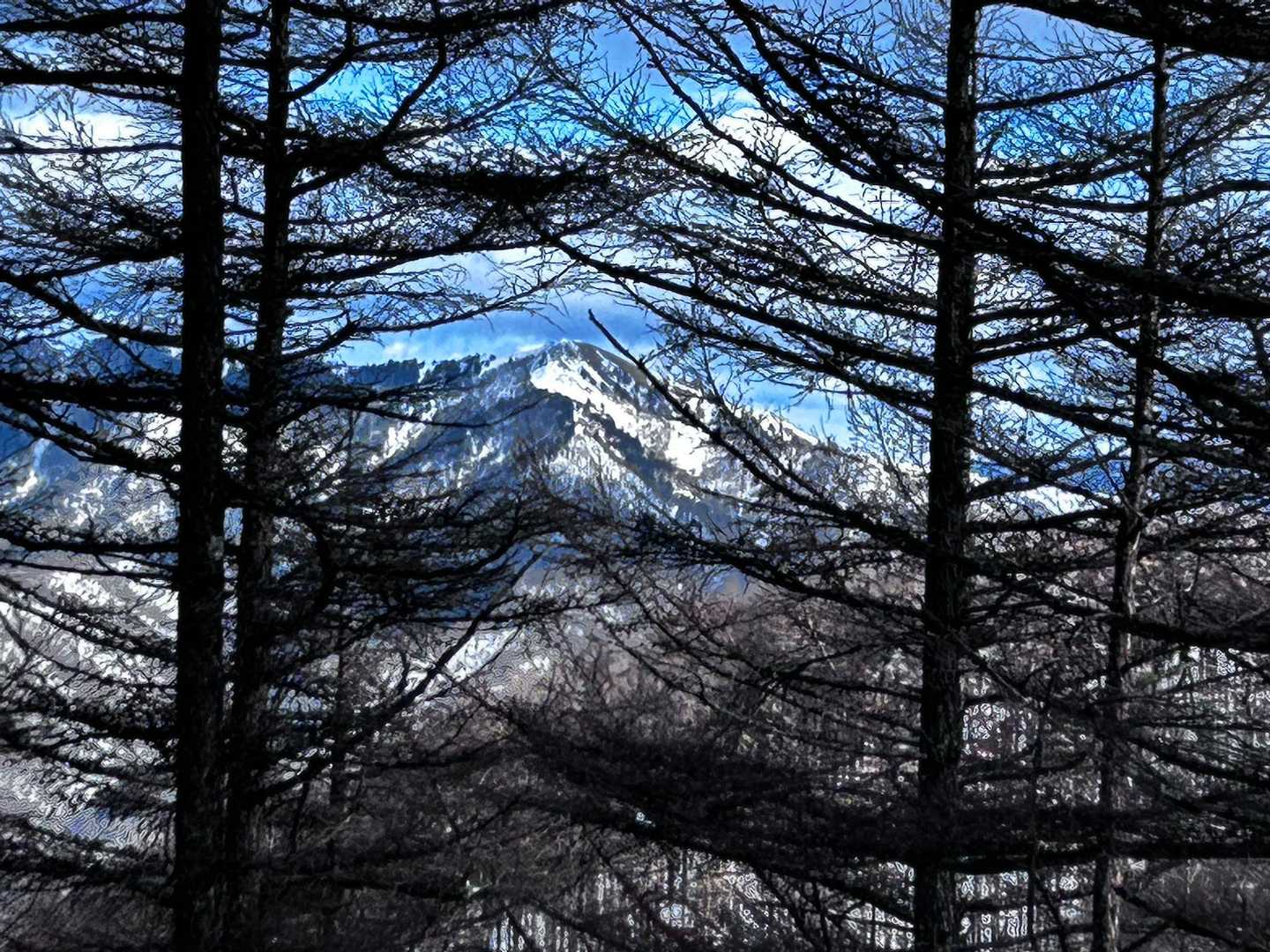 鉢伏登山道入口-鉢伏山 往復コースの写真