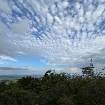 戻って登ると展望開けて、そろそろ秋の空。