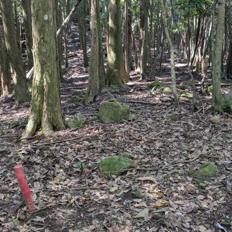 地図画面で確認
ここを右に進むんだな
