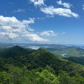 空の青さに心は弾むが…だんだん暑さに参っていく😫