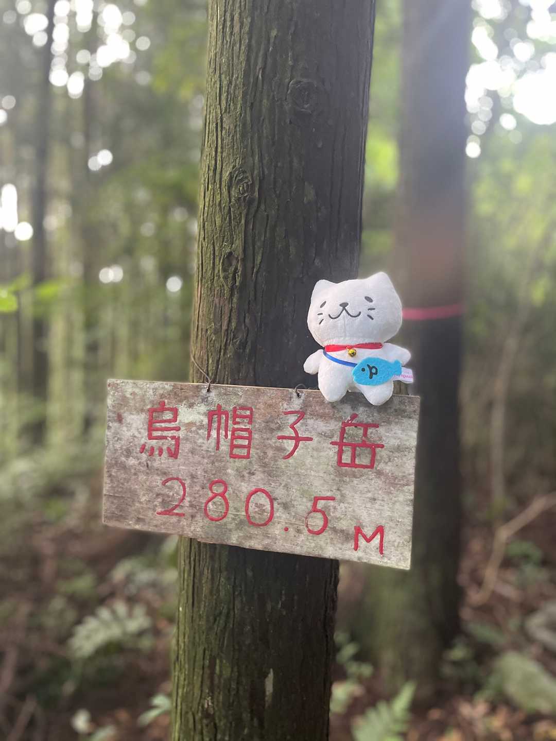 記念写真📸
