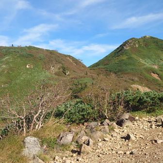 たぶん左のピークが登れないもう1つのピーク御池岳です。地図見たら山頂に池っぽいのがありました。右は今から登る俎嵓です。