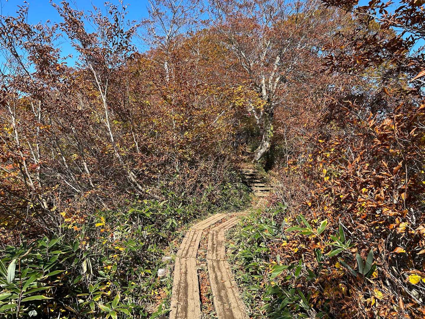 天神峠-熊穴沢ノ頭-登山入口 縦走コースの写真
