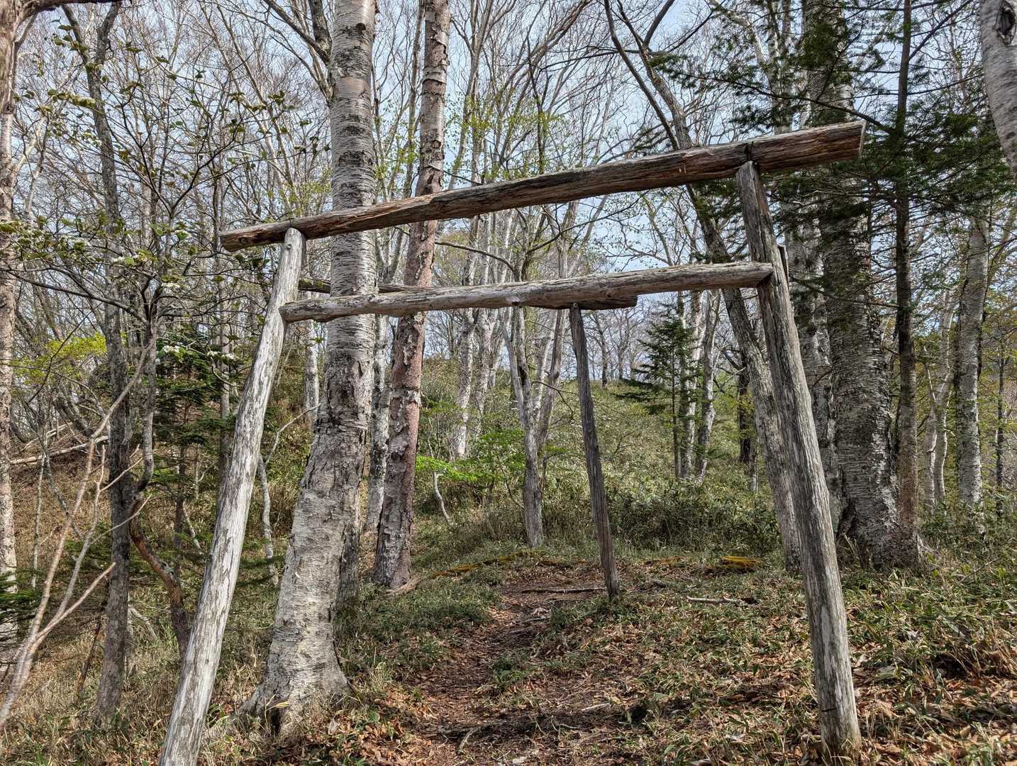 日留賀岳 往復コースの写真