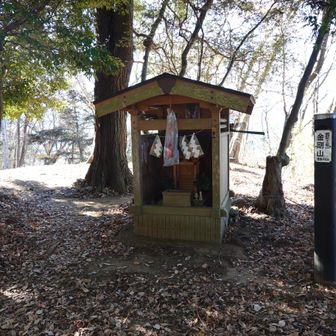 金剛山に到着🙌