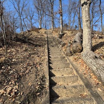 おっと階段。1.2.3.4 …100  101  数えちゃうよね。