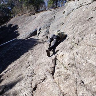 しいたけ🍄‍🟫