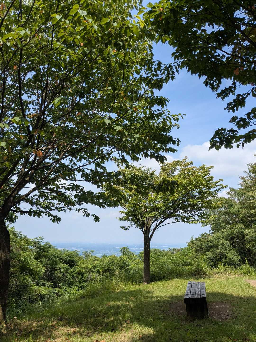 南山　山頂　
帰還あと少し