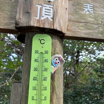 18度
登っている時は、まだまだ暑かったです