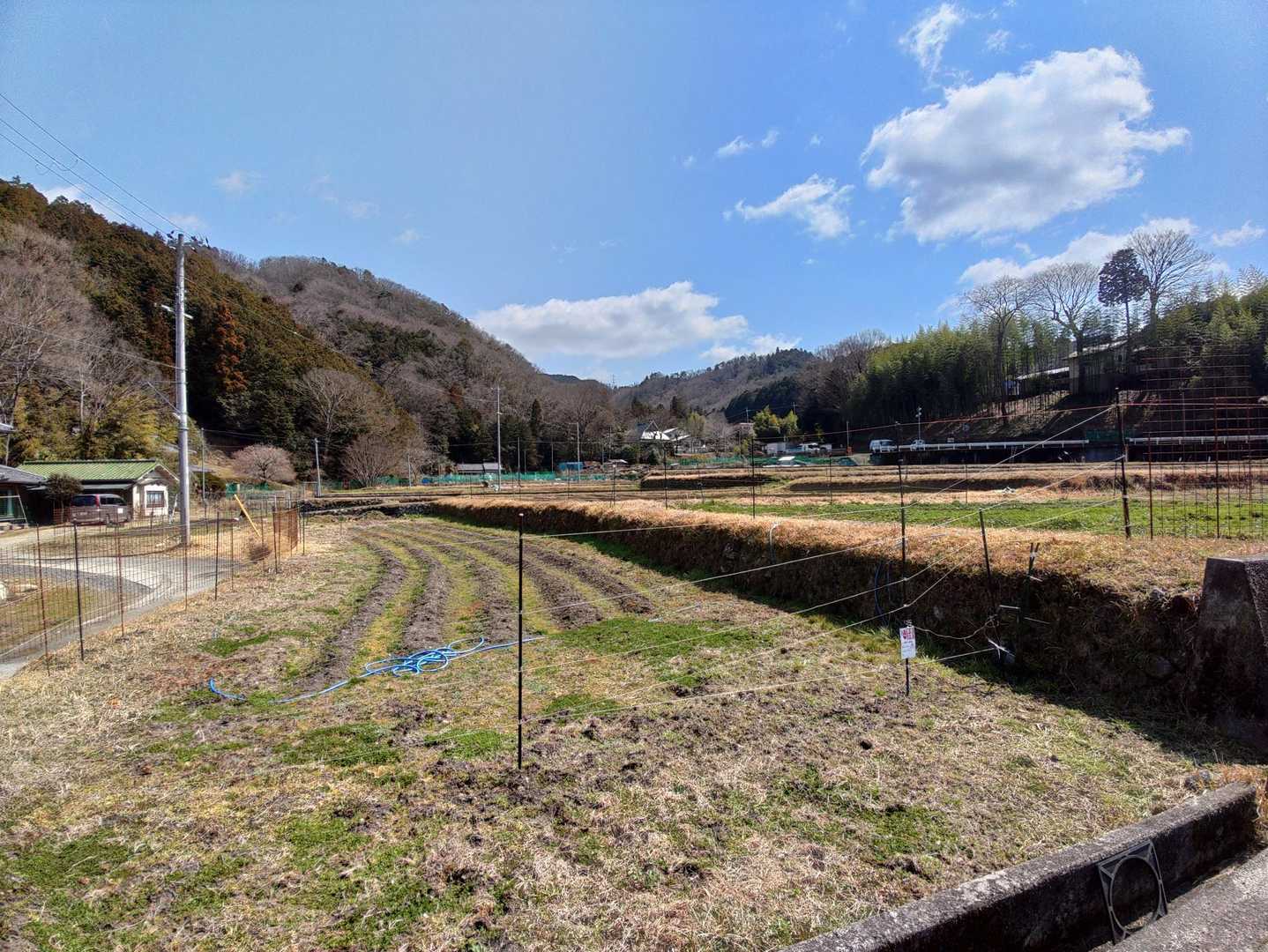 町中を歩いてすぐに長閑な風景。