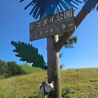 もう一度入り口のオブジェと🐶隊長💕