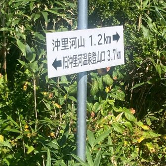 1.2k m。汗を拭く。