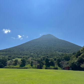 で、でかい