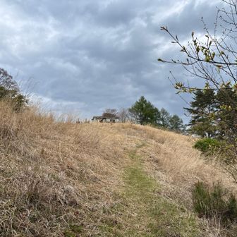 山頂が見えてきました