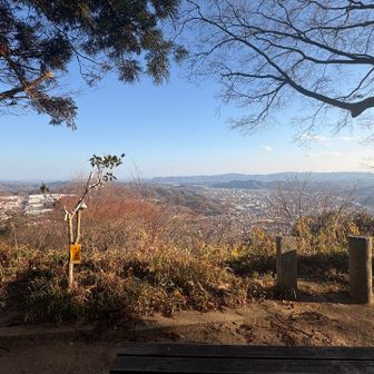 朝とはまた違っていいね✨