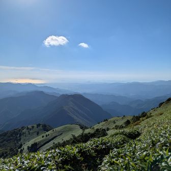 松山平野