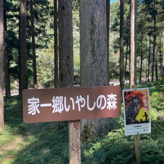 ここまでも
なかなかの距離😅