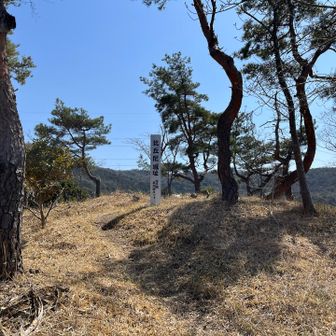 最後は中宇利丸山=比丘尼(びくに)城址🏯 「世界の桜の園」として知られる新城市の桜の名所との事です。残念ながら開花はもう少し先🌸でした