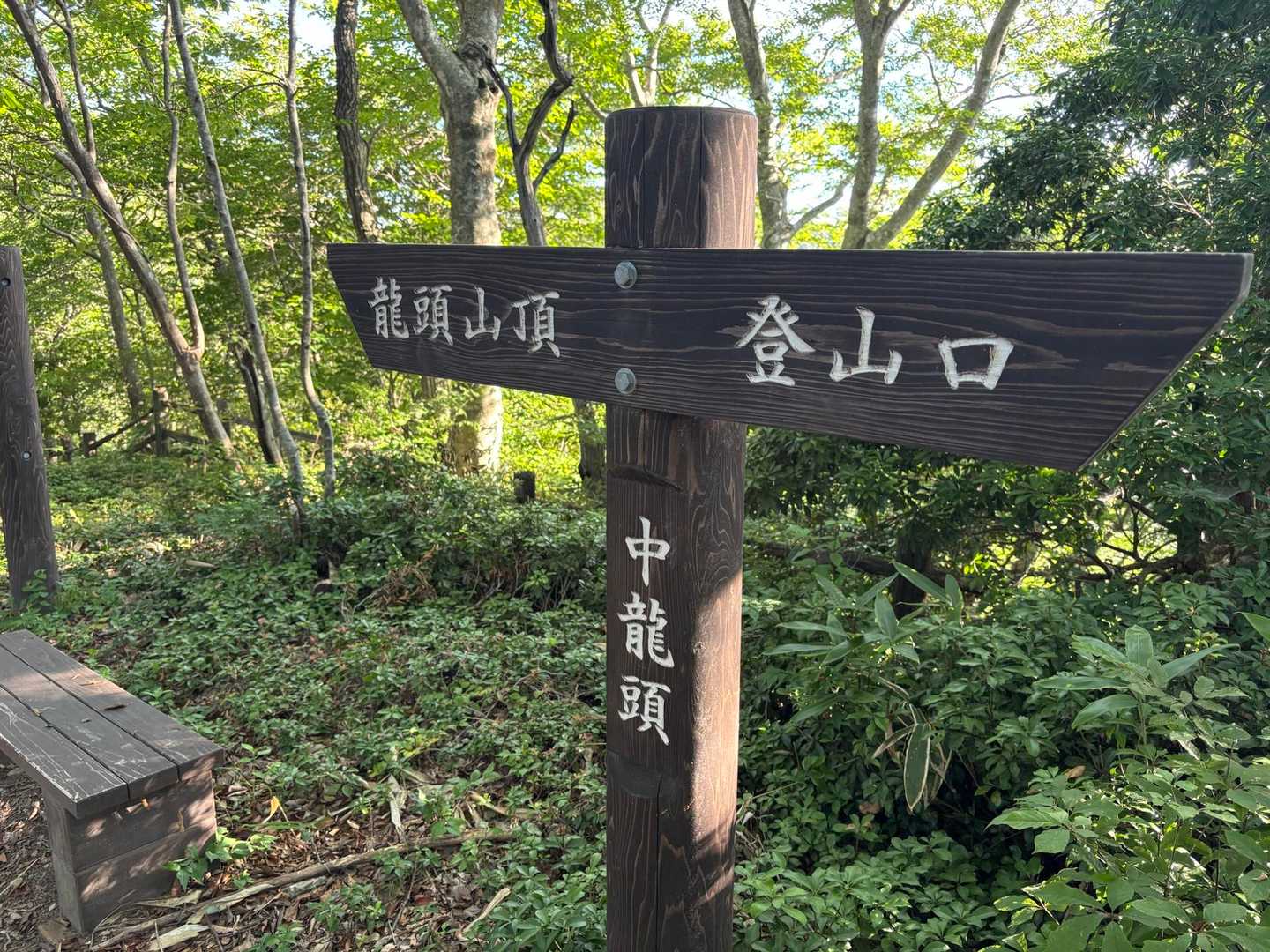 中龍頭△